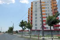 Imagine atasata: vivalia-soarelui (1).JPG